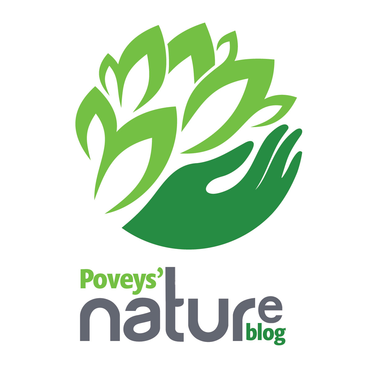 Poveys Nature Blog